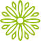 ionicons 2 0 1 ios flower outline 60 0 96bf14 none